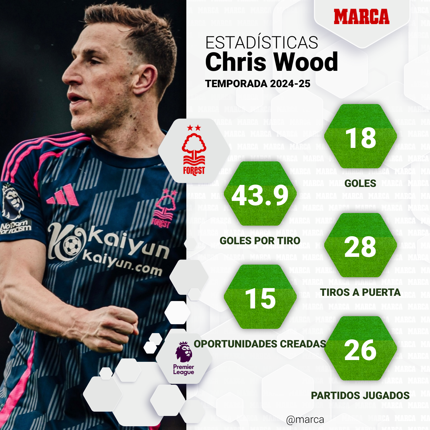 Chris Wood's numbers in Premier League